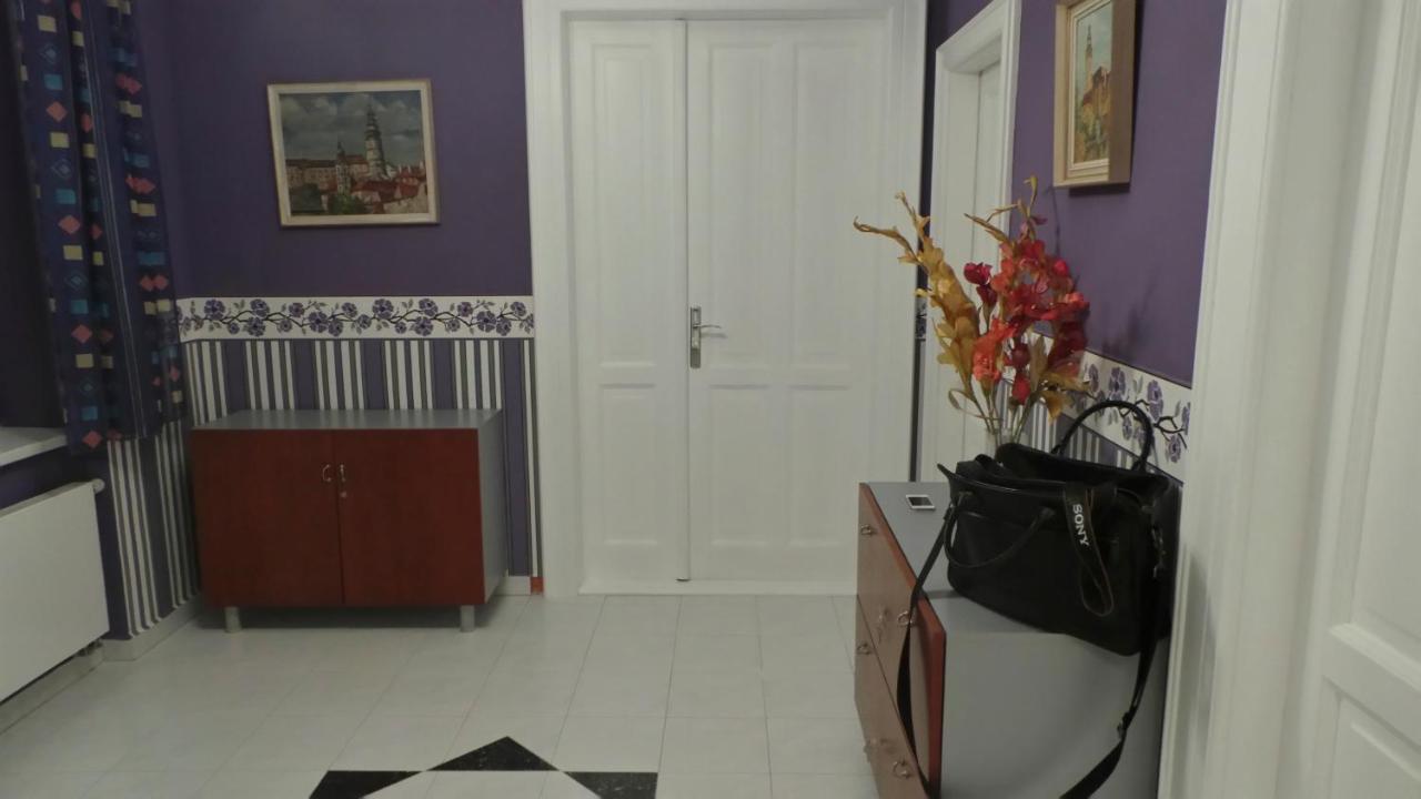 Apartment Sejko Cesky Krumlov Room photo